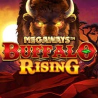 Buffalo Rising Megaways