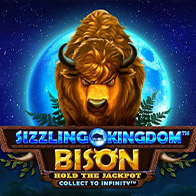 Sizzling Kingdom: Bison