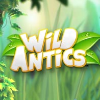Wild Antics