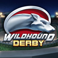 Wildhound Derby